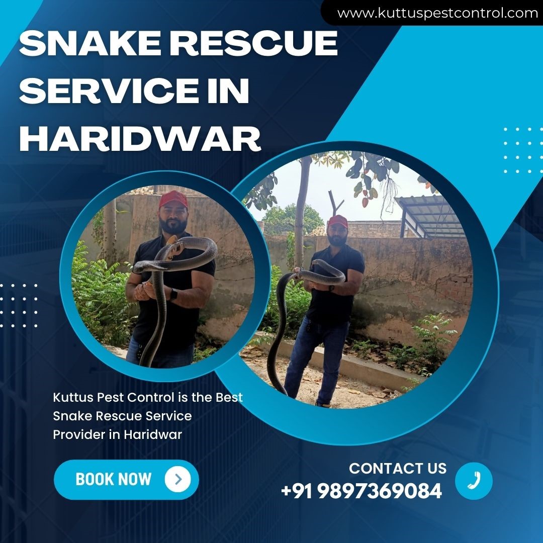 Snake Rescue Service in Haridwar